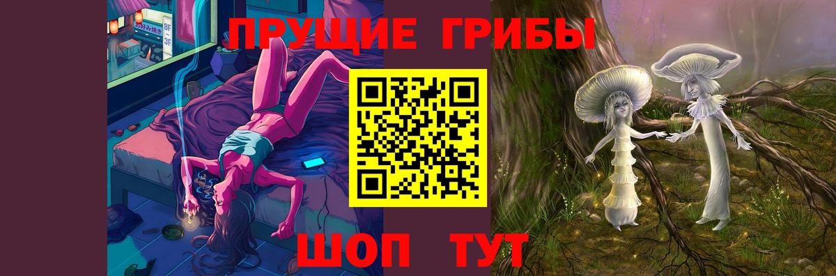 Тимашёвск  Псилоцибиновые грибы ЛСД  Вход с VPN 